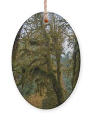 Tree Ornaments