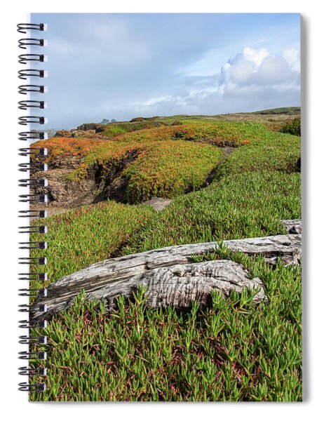Coastal Landscape with Driftwood Spiral Notebook