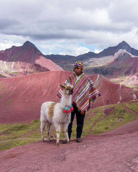 Peruvian Scene With Red Valley And Llama Art Print