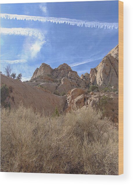 Desert Cliffs In Capitol Reef National Park Wood Print