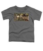 Mountain Goats in Natural Habitat Toddler T-Shirt