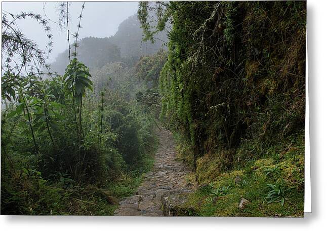 Misty Forest Pathway On The Inca Trail Greeting Card