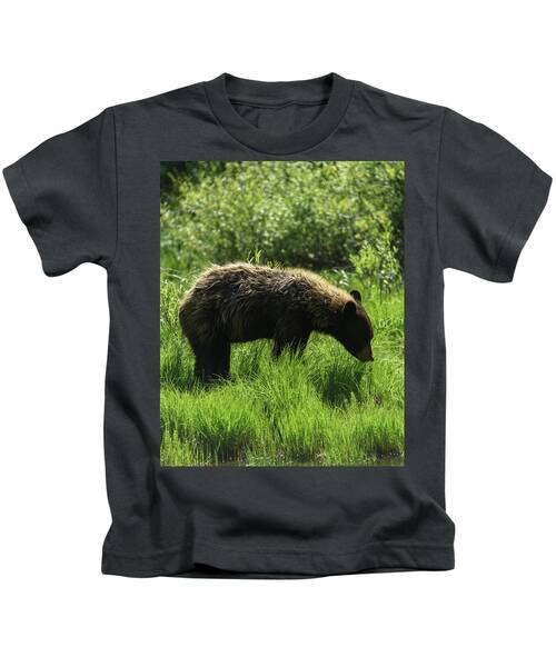 Solitary Bear In Grand Teton National Park Kids T-Shirt