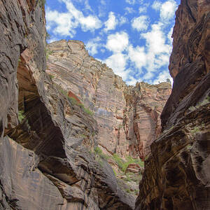 Majestic Canyon Sky View in The Narrows by Brandon Wichmann