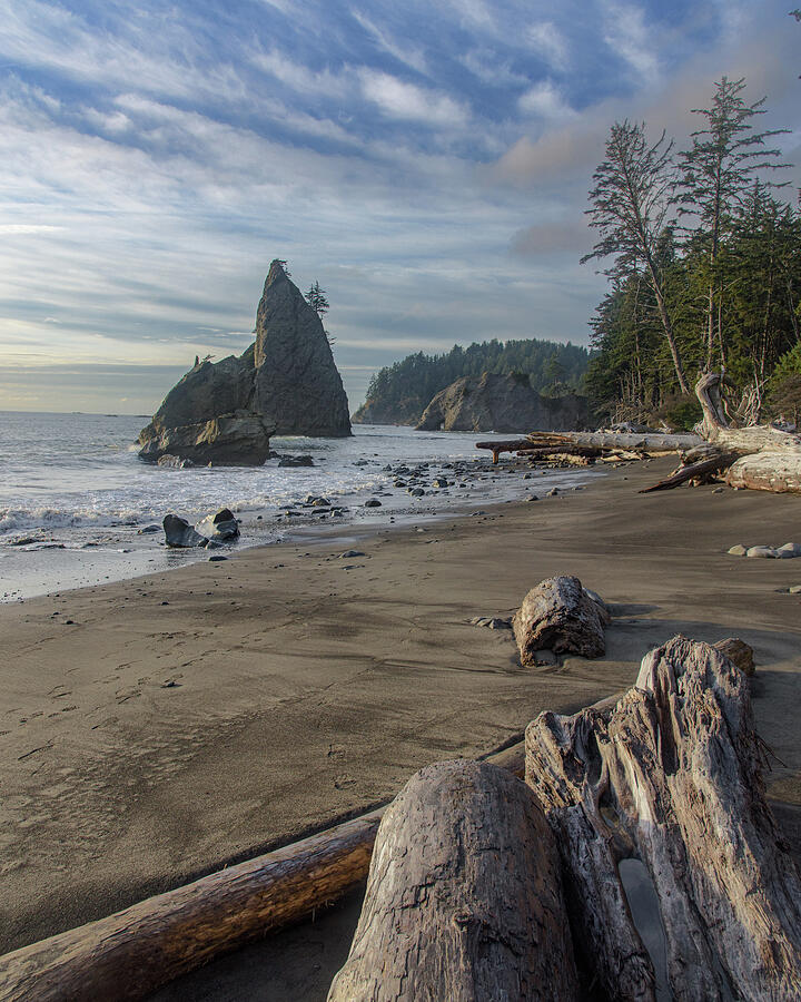 Rugged Coastal Landscape Photograph - Rugged Coastal Landscape by Brandon Wichmann