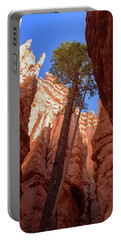 Tree Reaches Skyward In Bryce Canyon National Park Portable Battery Charger