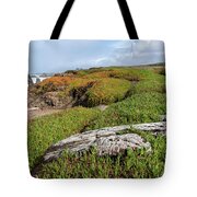 Coastal Landscape with Driftwood Tote Bag