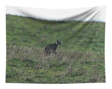 Bobcat in Grassy Field Tapestry