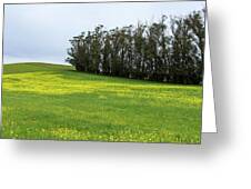 Rolling Hills With Blooming Wildflowers Greeting Card
