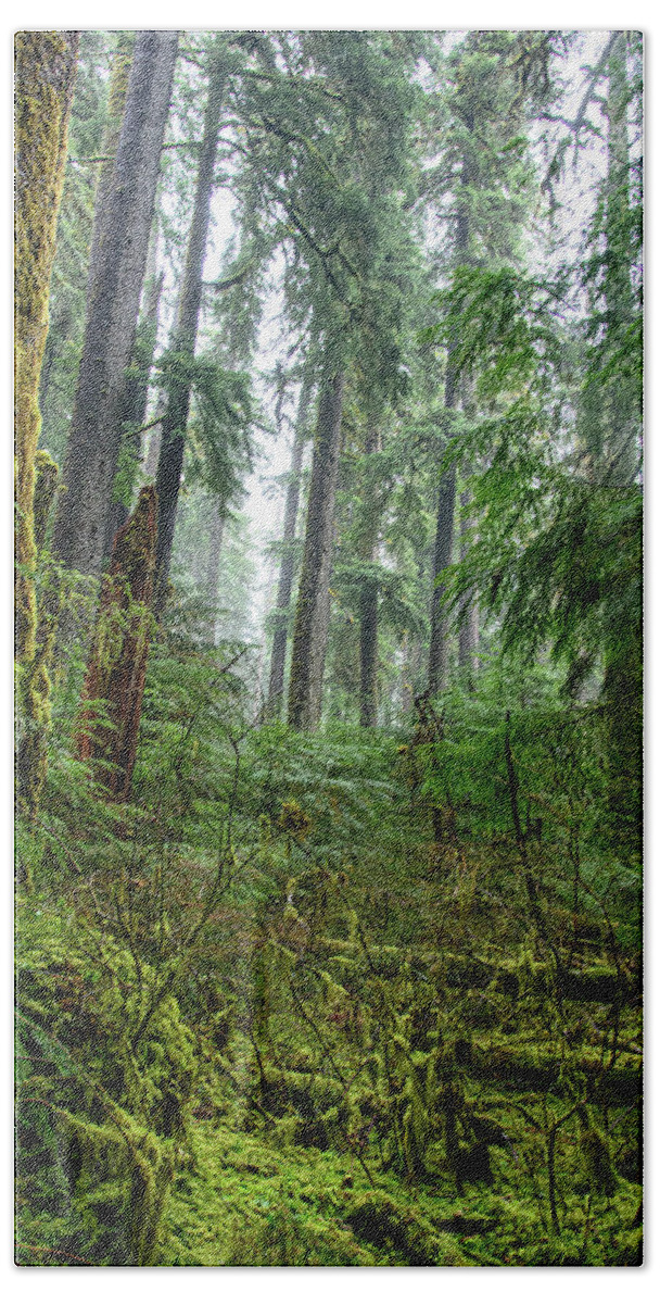 Misty Forest Silhouettes In Olympic National Park Bath Towel