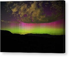 Vibrant Acrylic Prints