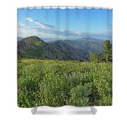 Mountain View with Wildflowers Shower Curtain