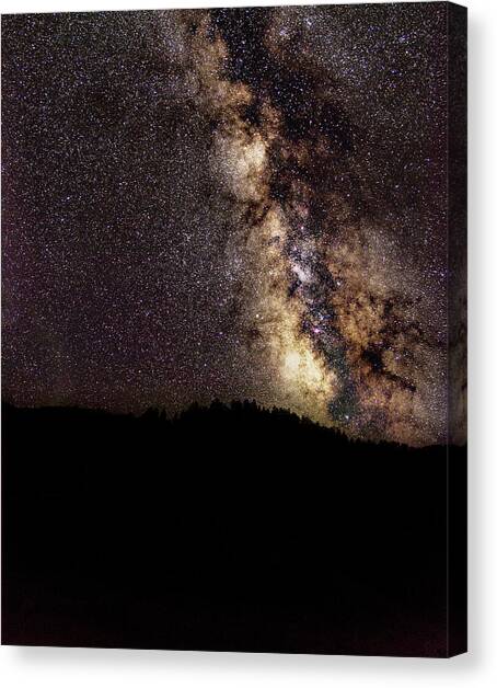 Night Sky Brimming with Stars Canvas Art Print by Brandon Wichmann