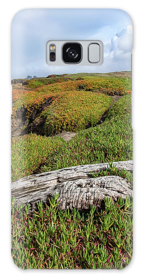 Coastal Landscape with Driftwood Galaxy Case