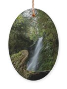 Serene Waterfall in Lush Forest Ornament