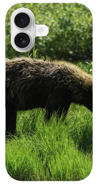 Wildlife iPhone Cases