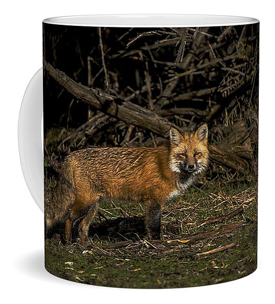 Fox In Sunlit Forest Clearing Coffee Mug