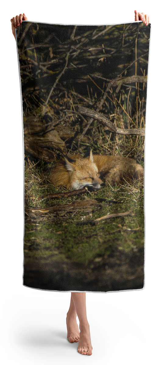 Peaceful Fox In Sunlit Meadow Beach Towel