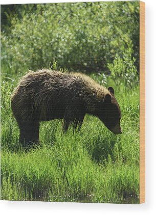 Shop for Nature Wood Prints