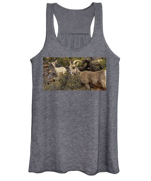 Bighorn Sheep in Zion National Park Women's Tank Top by Brandon Wichmann