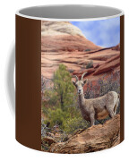 Big Horn Sheep In Zion National Park Coffee Mug