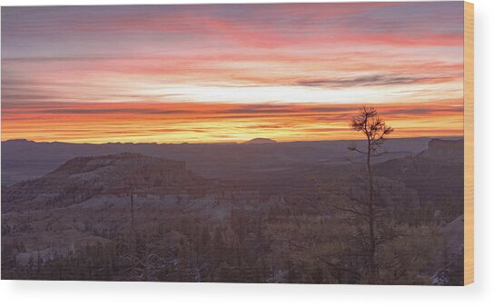 Serene Mountain Sunrise In Bryce Canyon National Park Wood Print