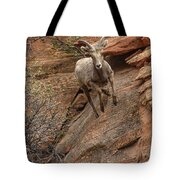 Big Horn Sheep Agile Descent In Zion National Park Tote Bag