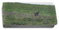 Bobcat in Grassy Field Portable Battery Charger