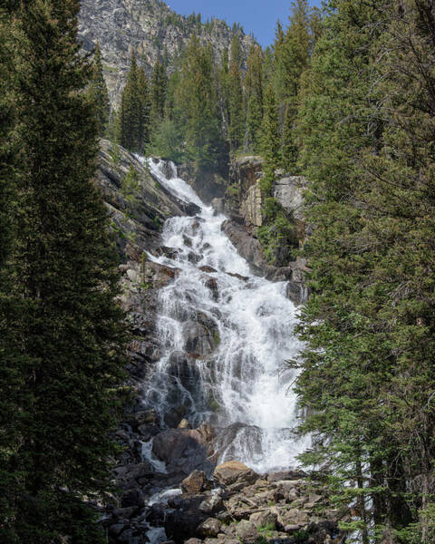 Waterfall Amidst Forest Landscape Poster