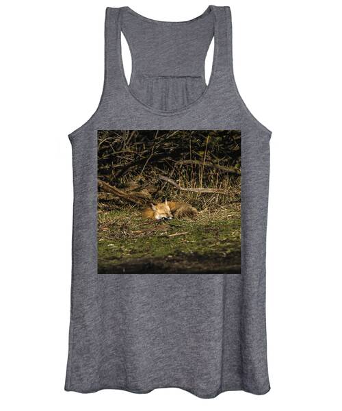 Peaceful Fox in Sunlit Meadow Women's Tank Top by Brandon Wichmann