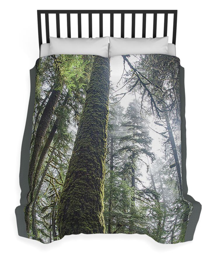 Majestic Forest Canopy In Olympic National Park Duvet Cover