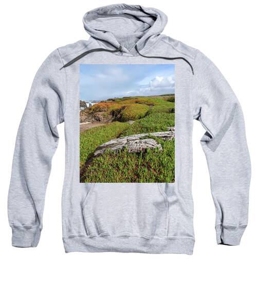 Coastal Landscape with Driftwood Sweatshirt