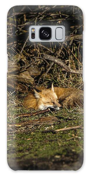 Peaceful Fox in Sunlit Meadow Galaxy Case by Brandon Wichmann
