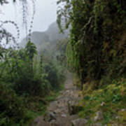 Misty Forest Pathway On The Inca Trail Art Print