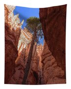 Tree Reaches Skyward In Bryce Canyon National Park Tapestry