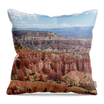 Landscape Throw Pillows
