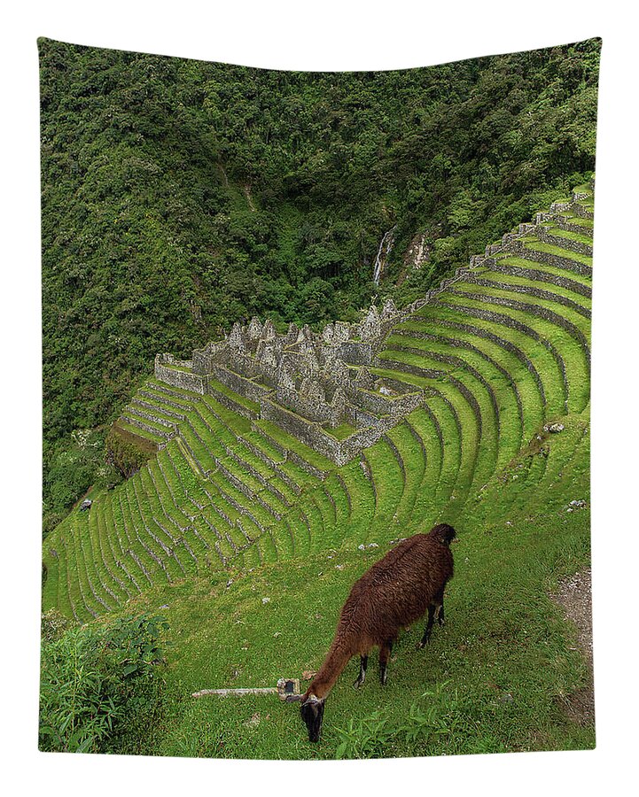 Winay Wayna With Grazing Llama Tapestry