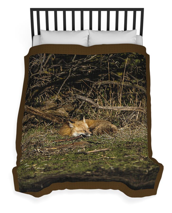 Peaceful Fox In Sunlit Meadow Duvet Cover