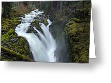 Serene Flow Through Mossy Forest Greeting Card