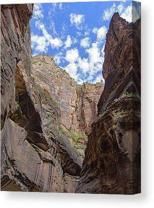 Shop for Zion National Park Canvas Prints