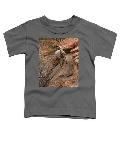 Big Horn Sheep Agile Descent In Zion National Park Toddler T-Shirt