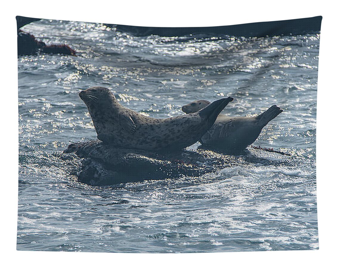 Seals Resting On Rocky Shoreline Tapestry