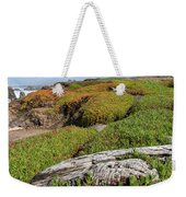 Coastal Landscape with Driftwood Weekender Tote Bag