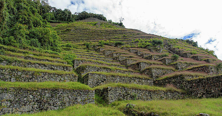 Wall Art featuring the photograph Ancient Terraces Amidst Greenery by Brandon Wichmann