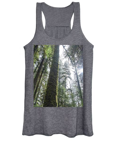 Majestic Forest Canopy In Olympic National Park Women's Tank Top