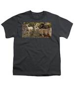 Mountain Goats in Natural Habitat Youth T-Shirt