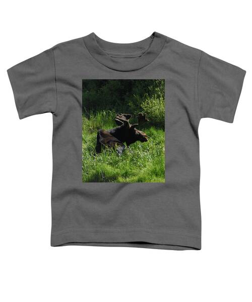 Moose Resting In Sunlit Meadow In Grand Teton National Park Toddler T-Shirt