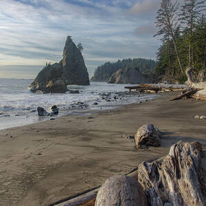 Rugged Coastal Landscape by Brandon Wichmann