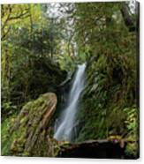 Serene Waterfall in Lush Forest Canvas Print