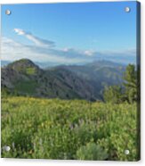 Mountain View with Wildflowers Acrylic Print